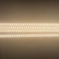 LED植物生長燈